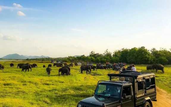 Private Taxi & Cabs from Habarana